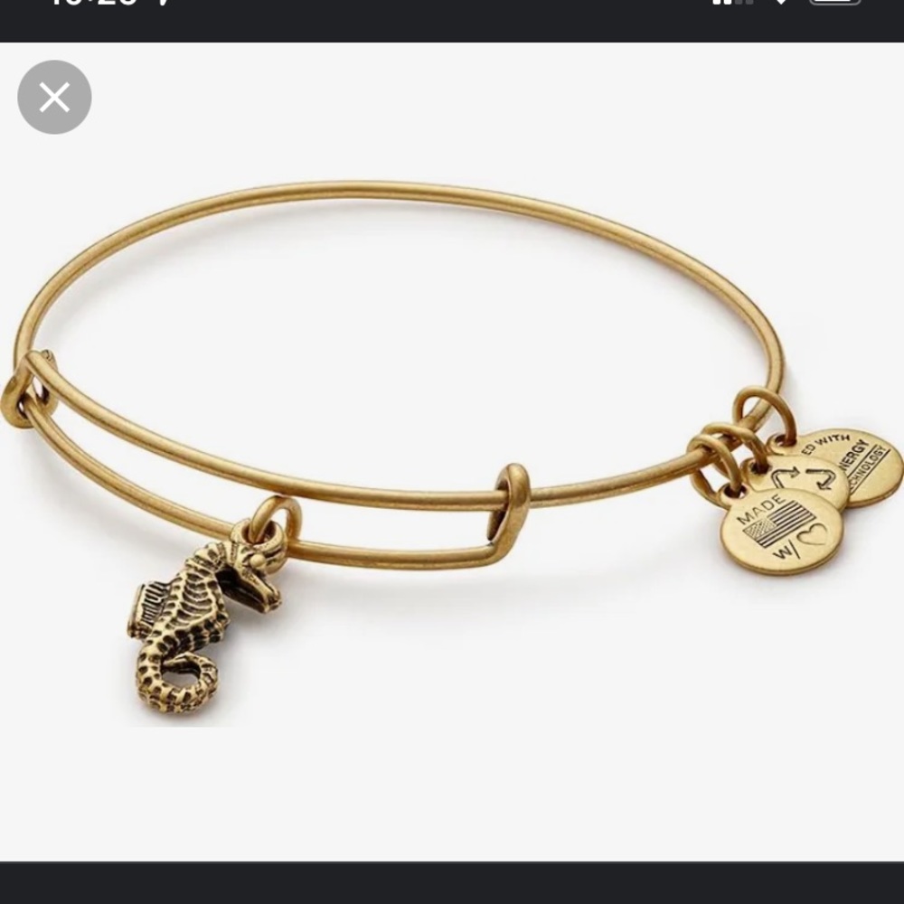 Alex and Ani Seahorse Energy Bracelet